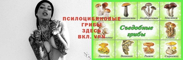 PSILOCYBIN Переславль-Залесский