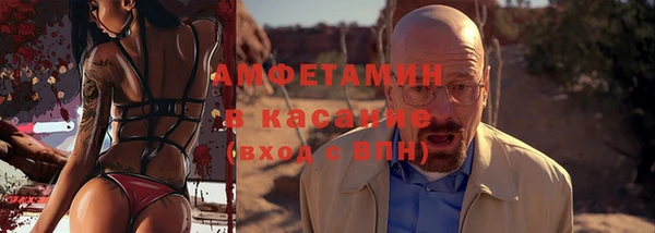 прущие грибы Беслан