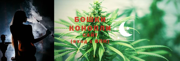молекула духа Ладушкин