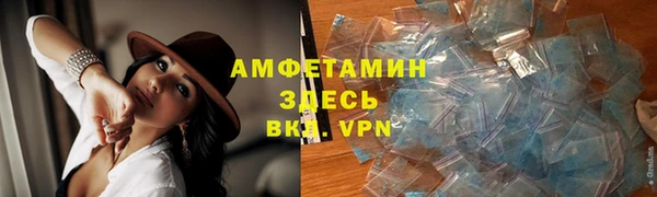 молекула духа Ладушкин