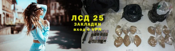 PSILOCYBIN Переславль-Залесский