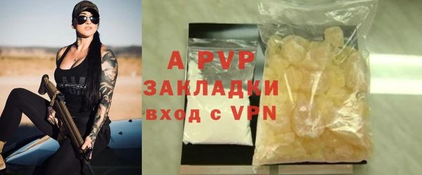 PSILOCYBIN Переславль-Залесский