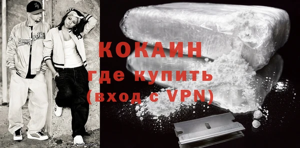 шишки Пестово