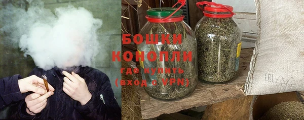 PSILOCYBIN Переславль-Залесский