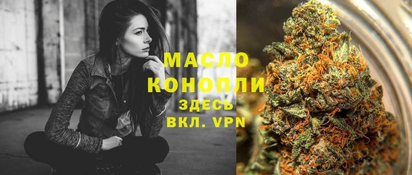 соль ск Бикин