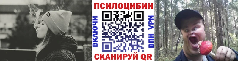 Псилоцибиновые грибы GOLDEN TEACHER  где купить наркотик  KRAKEN зеркало  Лакинск 